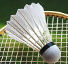 Manchester Badminton Singles League